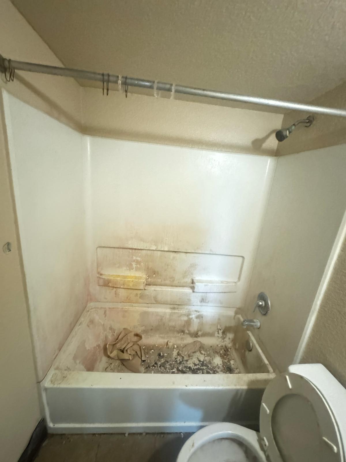 Before